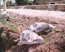 Captura de pantalla 2019-04-29 a la(s) 1